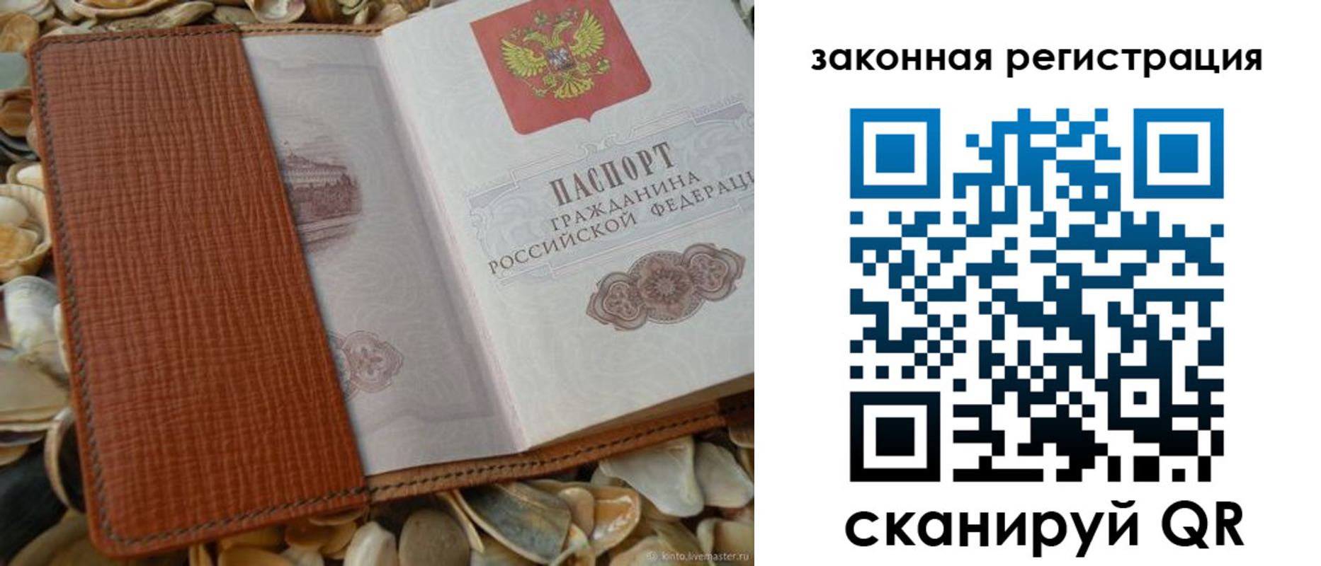 прописка паспорт в Зуевке